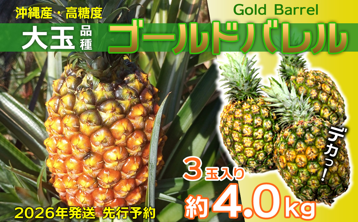 【2026年発送】先行予約 ゴールドバレル 3玉 （約4.0kg） パイナップル 甘い ジューシー デザート 高級 フルーツ 家族で楽しめる 子供 果物 取り寄せ 旬 おすすめ ギフト 人気 家庭用 贈答用 母の日 スナックパイン 期間限定 パイン 沖縄