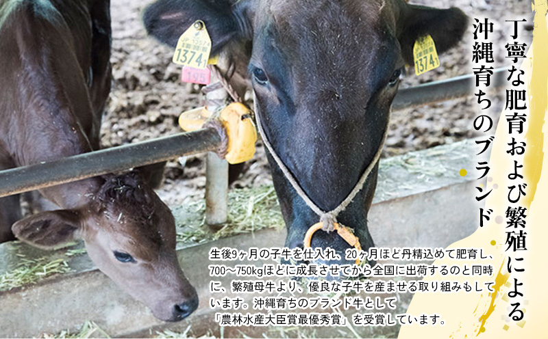 もとぶ牛カルビ焼肉(自宅用)500ｇ 県産和牛 黒毛和牛 国産 牛肉 牛 ブランド 和牛 人気 オススメ おすすめ グルメ 贅沢 高級 3等級以上 お取り寄せ 贈答用 美ら海 冷凍 沖縄 本部町