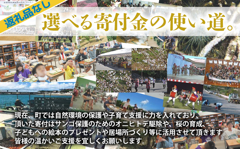 【返礼品なし】沖縄県本部町ふるさと応援寄附金 1000円 寄附のみの応援 寄附のみ 返礼品なし 返礼品無し　御礼品なし　御礼品無し