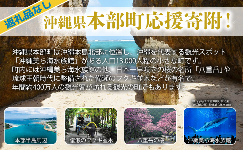 【返礼品なし】沖縄県本部町ふるさと応援寄附金 1000円 寄附のみの応援 寄附のみ 返礼品なし 返礼品無し　御礼品なし　御礼品無し