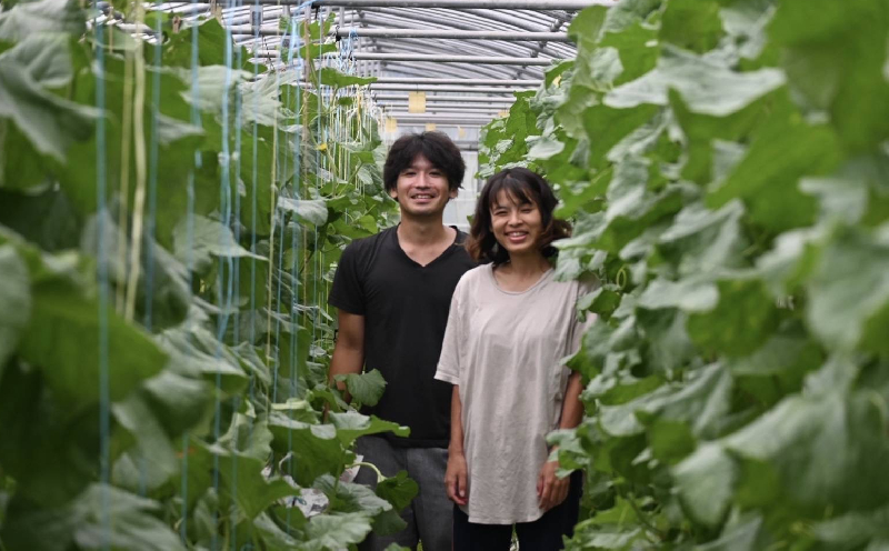 æ¬éšçºç£ãã¢ãŒã«ã¹ã¡ãã³ïŒ2çïŒ2.8kgä»¥äž ãã«ãŒã æç© æå® æééå® æ°ééå® ãããã ãã¹ã¹ã¡ æ¬éšçº äººæ° æ²çžç£ ãããªã ããšã¶ èŽç ãã¬ãŒã³ã èŽãç© ã¹ã€ãŒã ãã¶ãŒã ç³åºŠ å質 ã®ãã