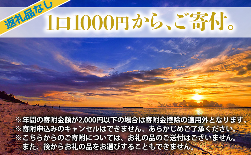 【返礼品なし】沖縄県本部町ふるさと応援寄附金 1000円 寄附のみの応援 寄附のみ 返礼品なし 返礼品無し　御礼品なし　御礼品無し