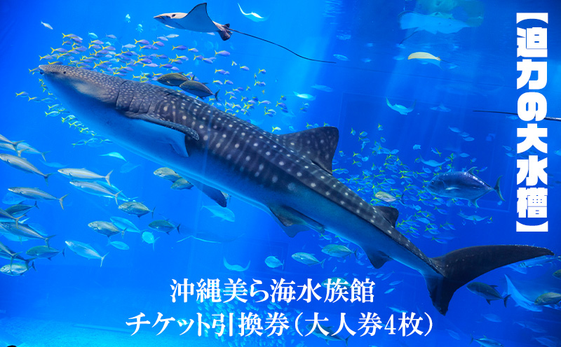 【迫力の大水槽】沖縄美ら海水族館　チケット引換券＜大人券4枚＞ 本部町 海洋博 水族館 カップル 家族 ファミリー 親子 ジンベイザメ マンタ 水槽 魚 海水 海 人気 オススメ ギフト プレゼント 贈答 贈り物 プロポーズ
