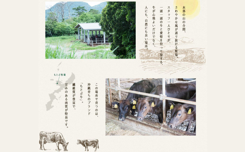 もとぶ牛カルビ焼肉（ギフト用）500ｇ 県産和牛 黒毛和牛 国産 牛肉 牛 ブランド 和牛 人気 オススメ おすすめ グルメ 贅沢 高級 4等級以上 お取り寄せ 贈答用 美ら海 冷凍 沖縄 本部町