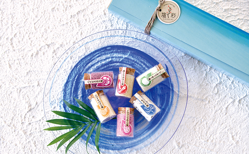 塩彩フレーバーソルト10種プチボトルボックス（2セット）