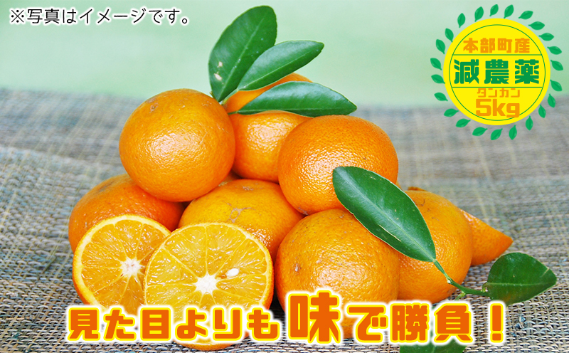 ã2026幎çºéãååœã®ã¿ããïŒæ¬éšçºç£ã¿ã³ã«ã³ïŒçŽ5kgå
¥ãïŒ ã¿ãã ææ© æ²çž ãããªã æå® ãã«ãŒã éæ æééå® å
è¡äºçŽ æ°ééå® æ¬ äººæ° ãããã èŽç ãã¬ãŒã³ã ã®ãã èŽãç© åäŸ ãã¶ãŒã åãå¯ã