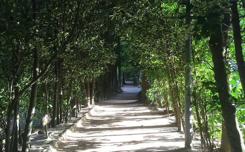 【本部町】 Jcationで利用可能なWEB旅行クーポン（150000円分）