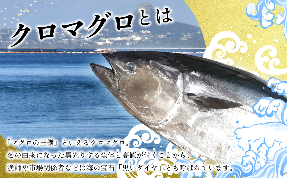 æ¬éšçºç£ãæ¬ãã°ãã¥ããïŒå€§ããã»äžããã»èµ€èº«ïŒçŽ800gïœ1000g 鮪 æ¬ãã°ã éæç¡æ ã®ãã ã°ã«ã¡ ãç¥ã èŽçå ãã¬ãŒã³ã åç£ ãåãå¯ã æµ å€§ãã äžãã äžãã 赀身 åºèº« ããã¿ æµ·é®® æµ·ç£ç© çŸãæµ·