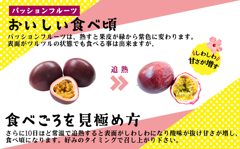 ã2026幎çºéãããšã¶çºç£ããã·ã§ã³ãã«ãŒããå®¶åºçš(çŽ1.5kg) ãããªã ååœ æç© éæ ãããã äººæ° èŽç ãã¬ãŒã³ã ã®ãã å£ç¯ çŸå³ãã ãããã æééå® æ°ééå® æ¬éšçº æ²çž æ²çžç ãµãããšçŽçš ãã«ãŒã 梱å