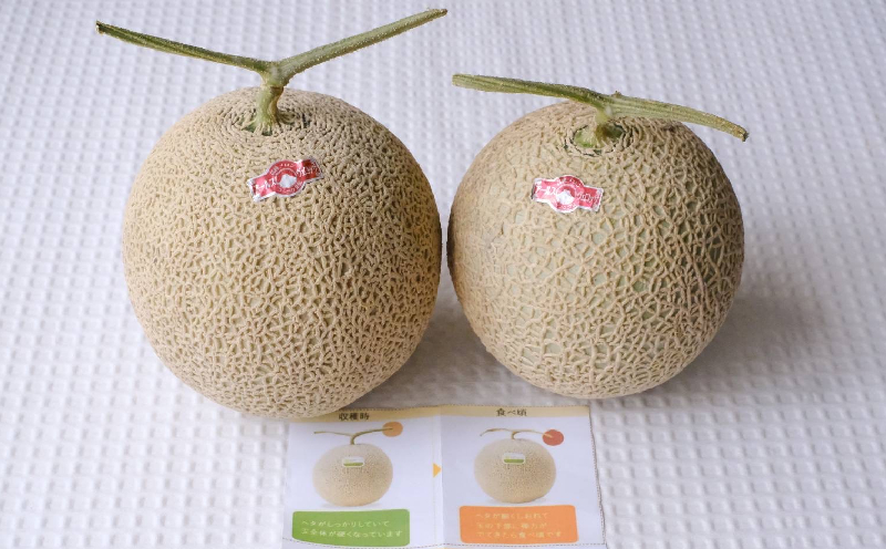 æ¬éšçºç£ãã¢ãŒã«ã¹ã¡ãã³ïŒïŒçïŒ1.4kgä»¥äž ãã«ãŒã æç© æå® æééå® æ°ééå® ãããã ãã¹ã¹ã¡ æ¬éšçº äººæ° æ²çžç£ ãããªã ããšã¶ èŽç ãã¬ãŒã³ã èŽãç© ã¹ã€ãŒã ãã¶ãŒã ç³åºŠ å質 ã®ãã