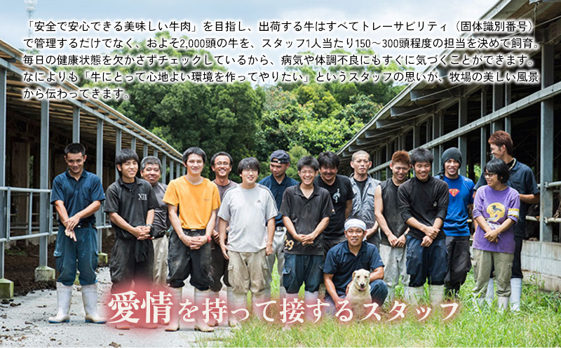 もとぶ牛カルビ焼肉（ギフト用）500ｇ 県産和牛 黒毛和牛 国産 牛肉 牛 ブランド 和牛 人気 オススメ おすすめ グルメ 贅沢 高級 4等級以上 お取り寄せ 贈答用 美ら海 冷凍 沖縄 本部町