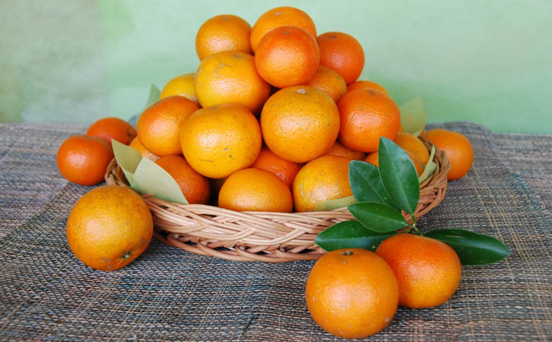 ã2026幎çºéãååœã®ã¿ããïŒæ¬éšçºç£ã¿ã³ã«ã³ïŒçŽ5kgå
¥ãïŒ ã¿ãã ææ© æ²çž ãããªã æå® ãã«ãŒã éæ æééå® å
è¡äºçŽ æ°ééå® æ¬ äººæ° ãããã èŽç ãã¬ãŒã³ã ã®ãã èŽãç© åäŸ ãã¶ãŒã åãå¯ã