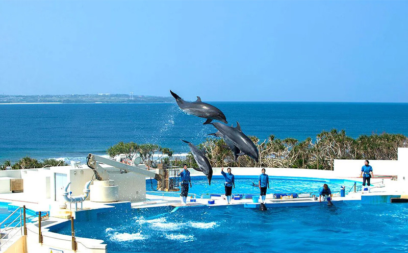 ãæ¬éšçºã Jcationã§å©çšå¯èœãªWEBæ
è¡ã¯ãŒãã³ïŒ3000ååïŒ