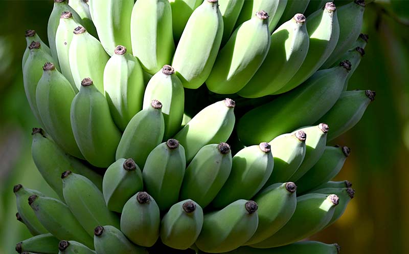 ã2026幎çºéãæ¬éšçºç£ã¢ããã«ãããã1.5kgä»¥äž ååœ æ²çž ãããªã æå® ãã«ãŒã éæ æééå® å
è¡äºçŽ æ°ééå® æ¬ äººæ° ãããã èŽç ãã¬ãŒã³ã ã®ãã èŽãç© ã«ã¯ãã« ãã¶ãŒã åãå¯ã é«çŽ