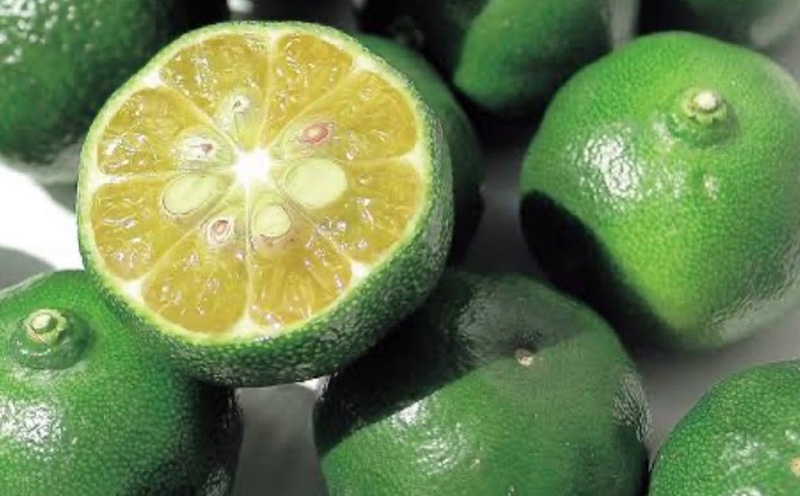 æ²çžçç£éåãã·ãŒã¯ã®ãŒãµãŒ100ïŒ
ææ±ïŒ12æ¬ã»ããïŒ æ²çžç æ²çž éæ æå® ãã¬ãã·ã¥ ç¶ ã·ãŒã¯ã¡ãŒãµãŒ æ¬éšçº æ¬éš ã®ãã ãã¬ãŒã³ã èŽç èŽãç© ãããã äººæ° æ¬èã®æ¥ ãåç£ å¥åº· ãžã¥ãŒã¹ 飲ã¿ç©