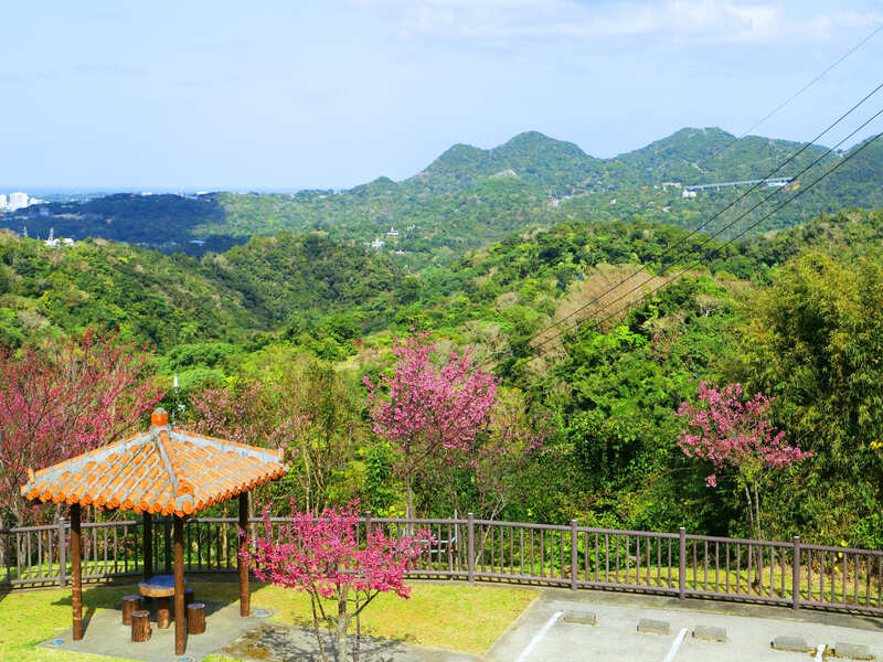 もとぶ八重岳の景観の保全、継承に関する事業