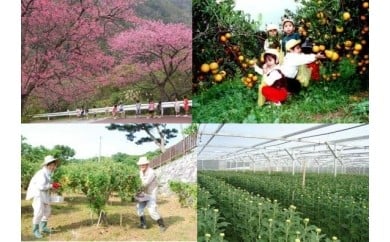 産業の振興及び魅力ある観光地づくりに関する事業