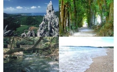 自然環境の保全及び景観の維持、再生に関する事業