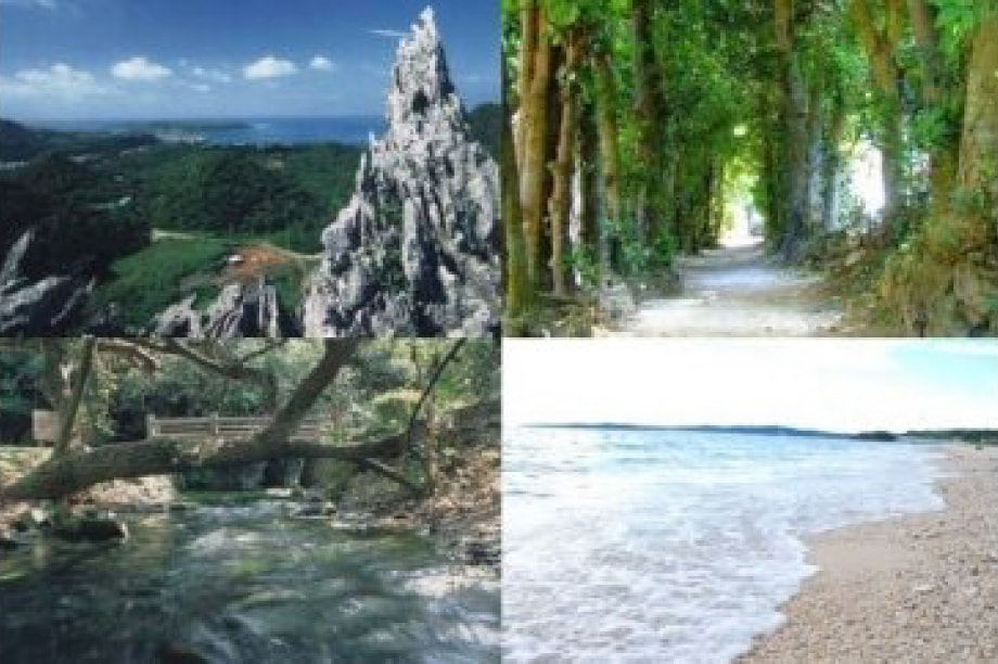 町民の健康増進及び福祉の向上に関する事業