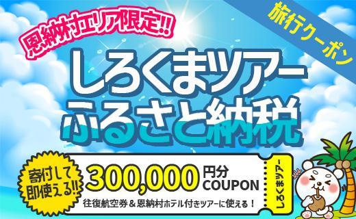 【恩納村】しろくまツアーで利用可能なWEB旅行クーポン（300,000円分）