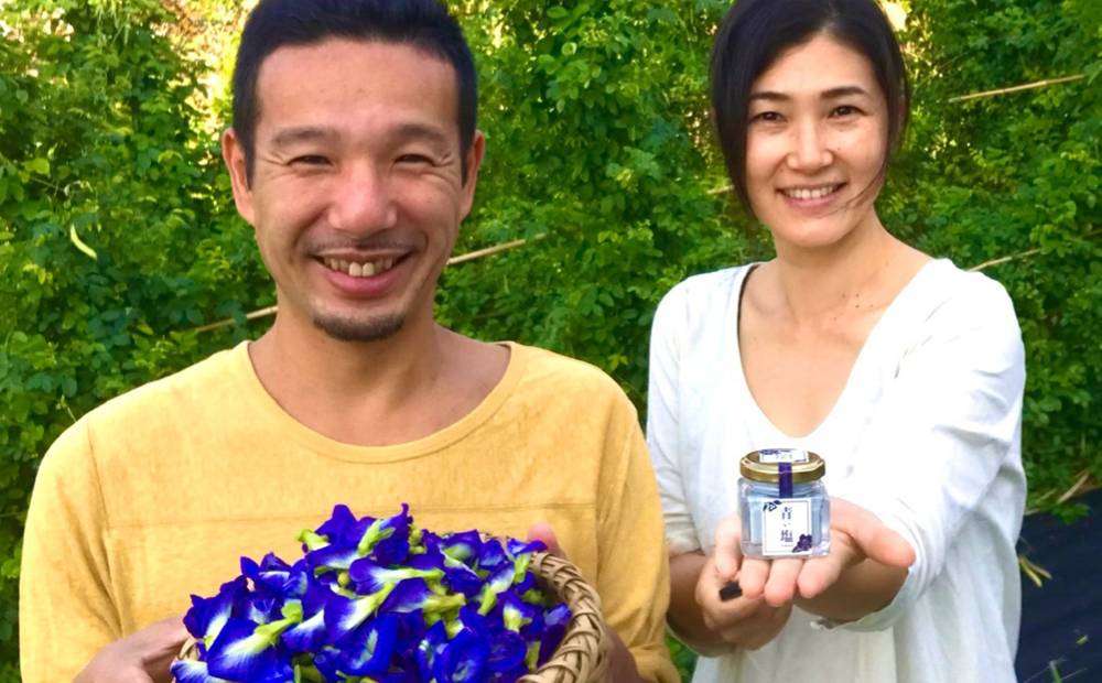 蜊励ョ蟲カ諱オ縺ソ霎イ蝨 蜊励ョ蟲カ諱オ縺ソ蝪ゥ4遞ョ繧サ繝繝 160g(40gテ4蛟)