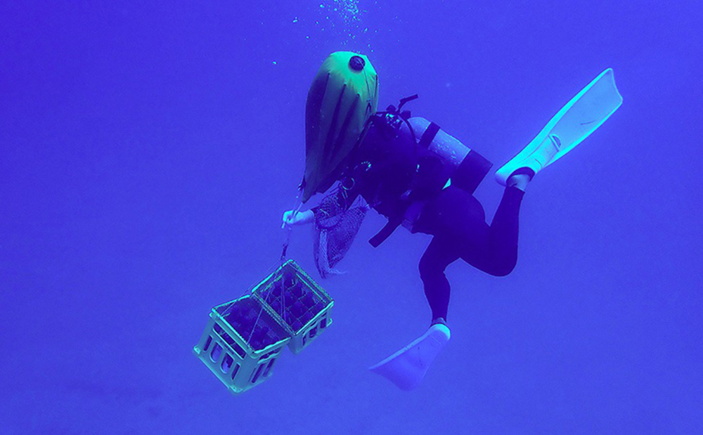 海底熟成泡盛 「珊瑚の海」720ml 43度3年古酒 海底2年熟成 