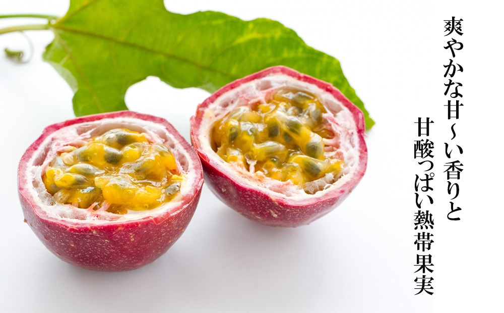 冷凍パッションフルーツ 100% 沖縄県産 1kg（おんなの駅オリジナル商品） 