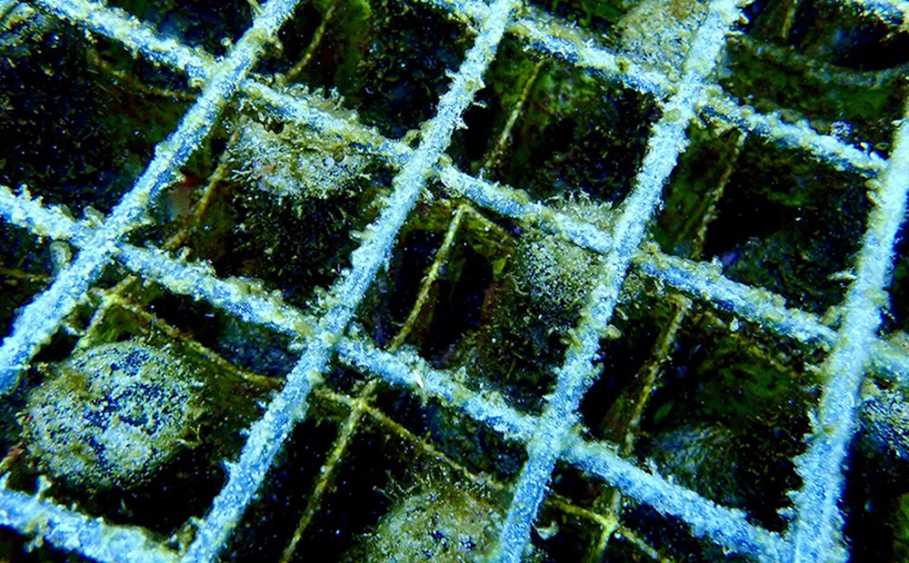 海底熟成泡盛 「珊瑚の海」720ml 43度3年古酒 海底2年熟成 