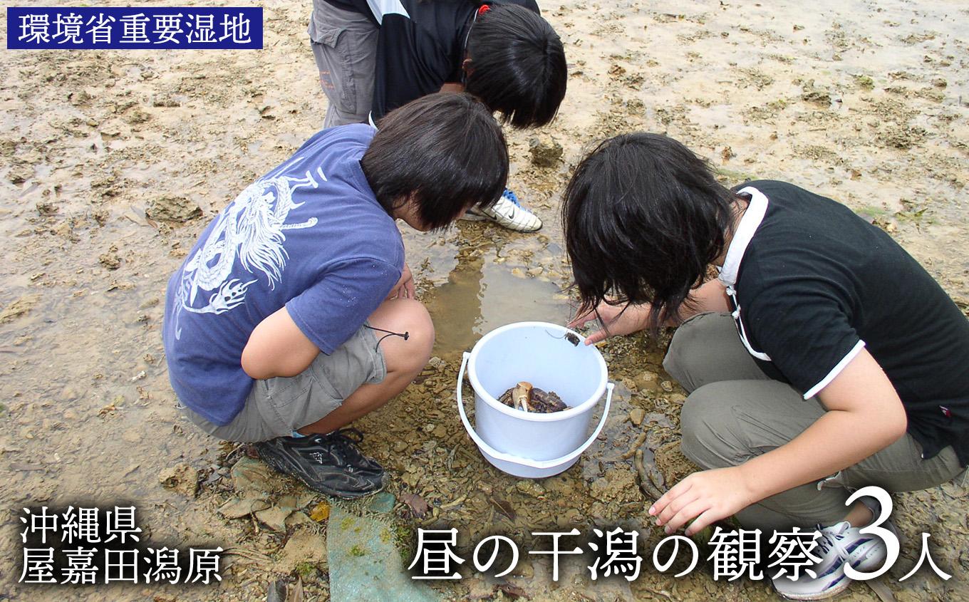 【環境省重要湿地】【屋嘉田潟原】昼の干潟の観察（3人）