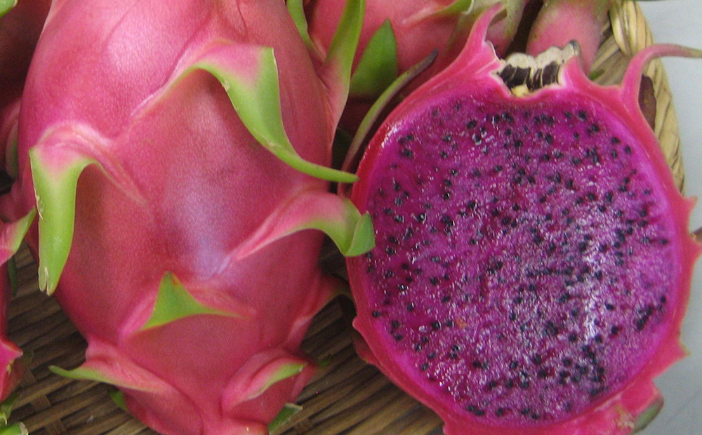 冷凍カットドラゴンフルーツ 赤 2kg （おんなの駅オリジナル商品） 