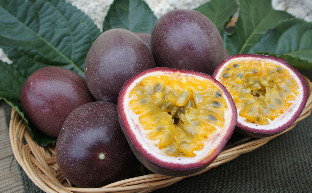 冷凍パッションフルーツ 100% 沖縄県産 2kg（おんなの駅オリジナル商品） 