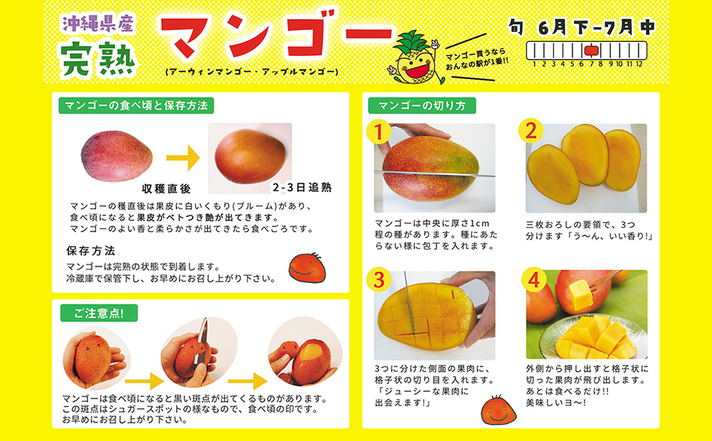 【2026年発送】おんなの駅 優品完熟マンゴー 約2kg（4玉～5玉入り） 