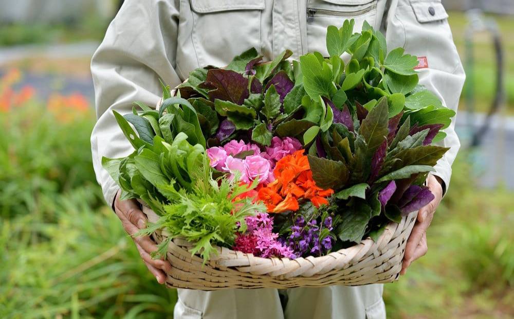 ãžã»ã¢ãã¿ãã©ã¹ ã¯ã©ãã¿ã¯ãŒãº ã¯ã©ãã©ã°ãžã¥ã¢ãªãŒ 1æ³æé£ä» 宿æ³åž