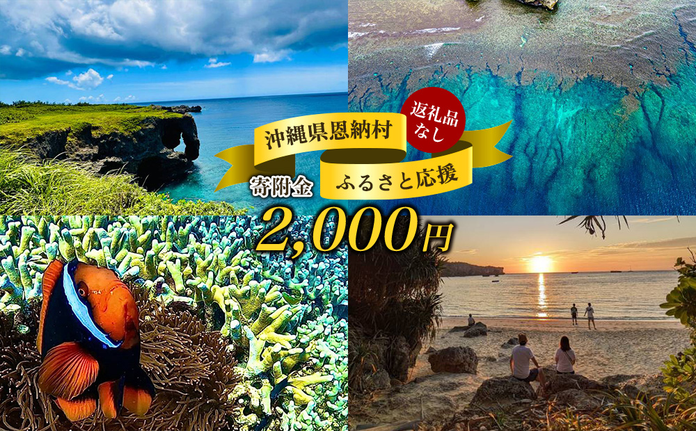 【返礼品なし】沖縄県恩納村ふるさと応援寄附金 2000円