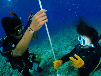 オフシーズン限定キャンペーン！】ダイビングライセンス講習【PADI