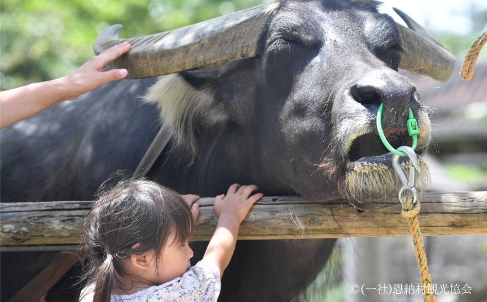 【返礼品なし】沖縄県恩納村ふるさと応援寄附金 3000円 