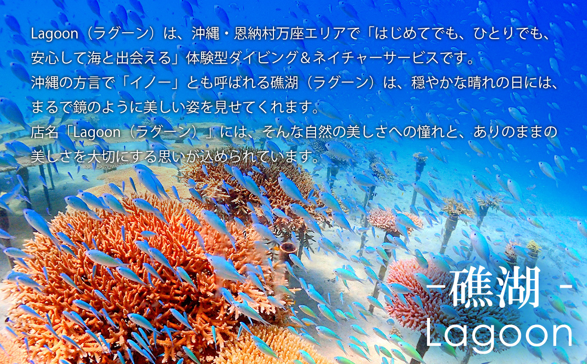 æ²çžãã€ãã³ã°ãµãŒãã¹ Lagoonåååžã9,000ååã