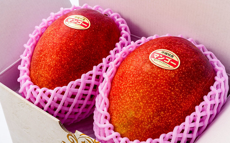 【2026年発送】令和6年最優秀賞サンライズファームのマンゴー贈答用　約1kg アーウィン 果物 甘い 夏 濃厚 ギフト Mango ランキング 完熟 お気に入り 収穫 人気 甘味 フルーツ 沖縄県 国産 食品 デザート 産地直送 宜野座村