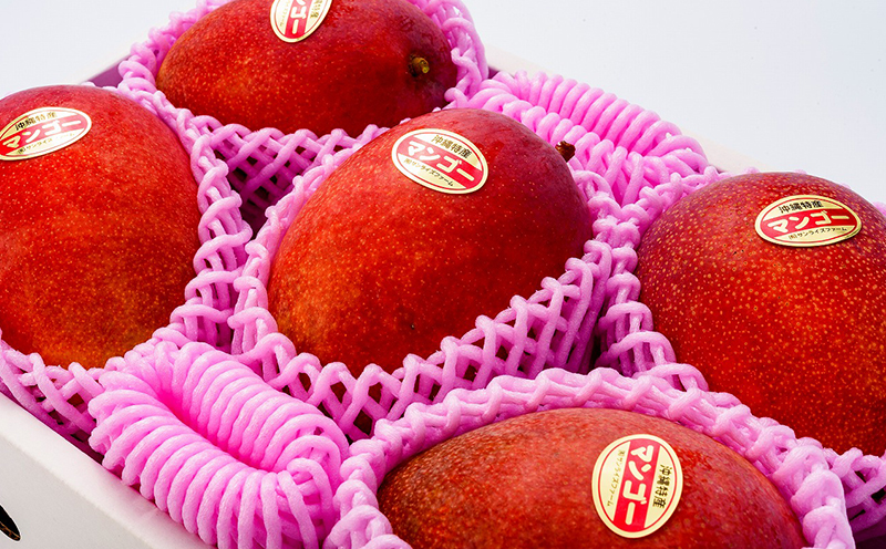 【2026年発送】令和6年最優秀賞サンライズファームのマンゴー贈答用　約2kg アーウィン 果物 甘い 夏 濃厚 ギフト Mango ランキング 完熟 お気に入り 収穫 人気 甘味 フルーツ 沖縄県 国産 食品 デザート 産地直送 宜野座村