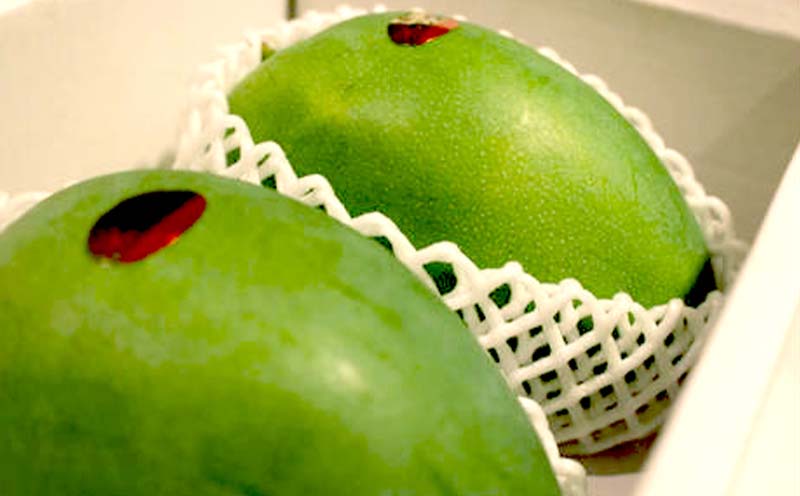 【2026年発送】贈答用　宜野座村産キーツマンゴー「マンゴーの丘」秀品　約2kg フルーツ 甘い 美味しい 特徴 香り お取り寄せ Mango デザート 大きい 希少 贈り物 ビタミン おすすめ 贅沢 栄養価 国産 沖縄県 人気 産地直送 送料無料