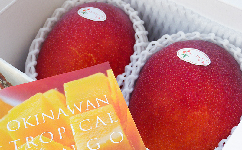 【2026年発送】県知事賞受賞　サンフルーツ糸満　マンゴー優品　約2kg 産地直送 先行予約 フルーツ 果物 くだもの アップルマンゴー アップル アーウィン種 濃厚 デザート 贅沢 旬の果物 甘い おすすめ プレゼント 贈答 冷蔵 国産 沖縄 沖縄県産