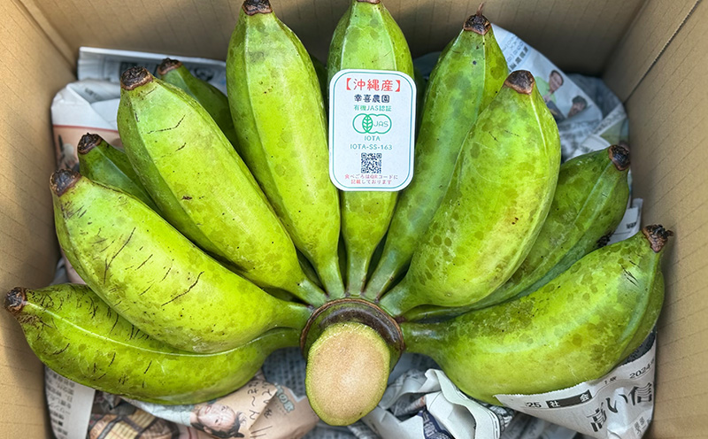 ã2026幎çºéãå®é座æç£ ææ©JASèªèšŒã®ã¢ããã«ããã çŽ2kg ã°ãªãª ããã ã¢ããã«ããã ãã«ãŒã æç© éæç© ãããã«ã«ãã«ãŒã ã¹ã€ãŒã ãã¶ãŒã ã¹ã ãŒãžãŒ æé£ éå ã¹ããŒã ç£å°çŽé åœç£ çã æ¿å ãã£ã¡ã æ²çžç å®é座æ