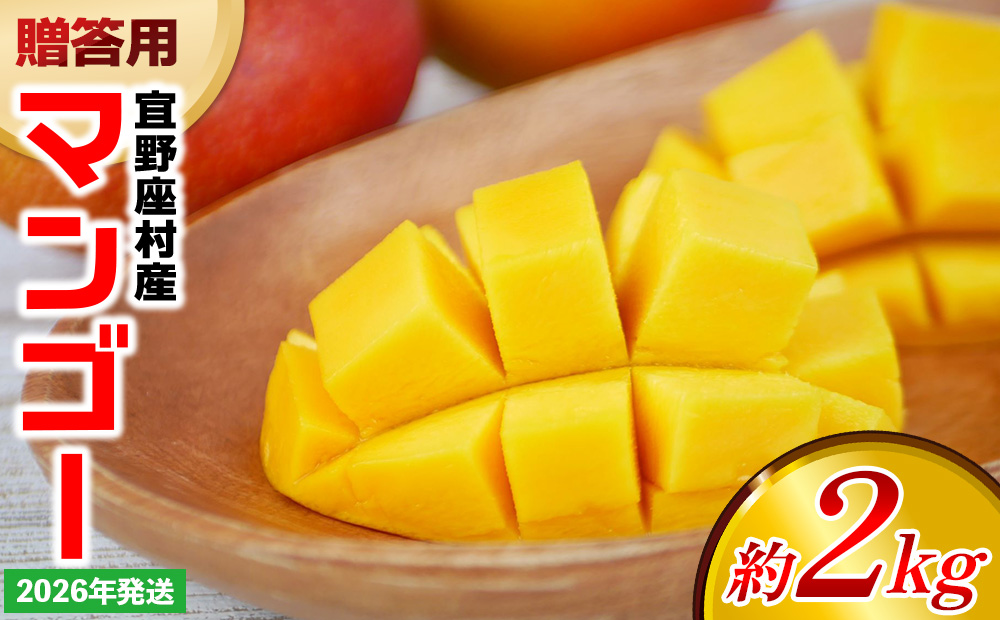 【2026年発送】贈答用マンゴー 約2kg【宜野座村産】 沖縄 南国 先行予約 期間限定 マンゴー 果物 くだもの フルーツ 果実 家庭用 自宅用 濃厚 甘い 芳醇 夏