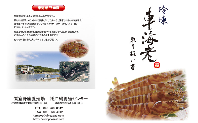 【養殖場から直送】活き〆急速冷凍車えび　3Lサイズ　約500g（12～13尾/500g×1P）