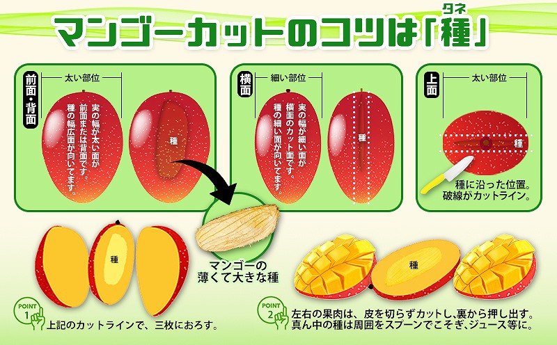 【2025年発送】新里農園のアップルマンゴー家庭用（約2kg） 農家さん直送 アーウィン 果物 甘い 夏 濃厚 ギフト Mango ランキング 完熟 お気に入り 収穫 人気 フルーツ 沖縄県 先行予約 デザート 甘味 産地直送 送料無料