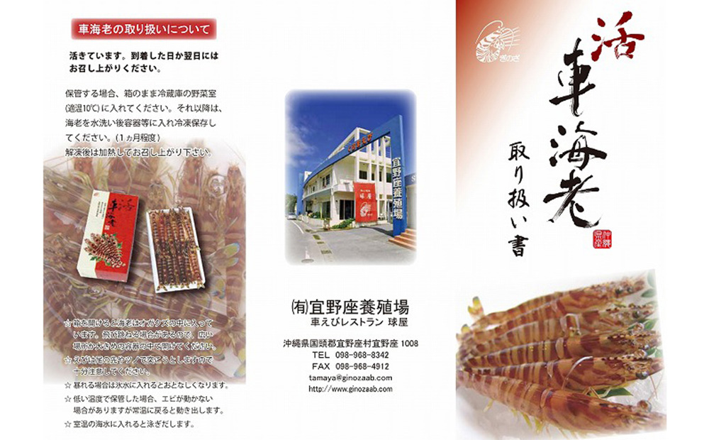 【養殖場から直送】活き〆急速冷凍車えび 2Lサイズ 約1kg(28~32尾/500g×2P)