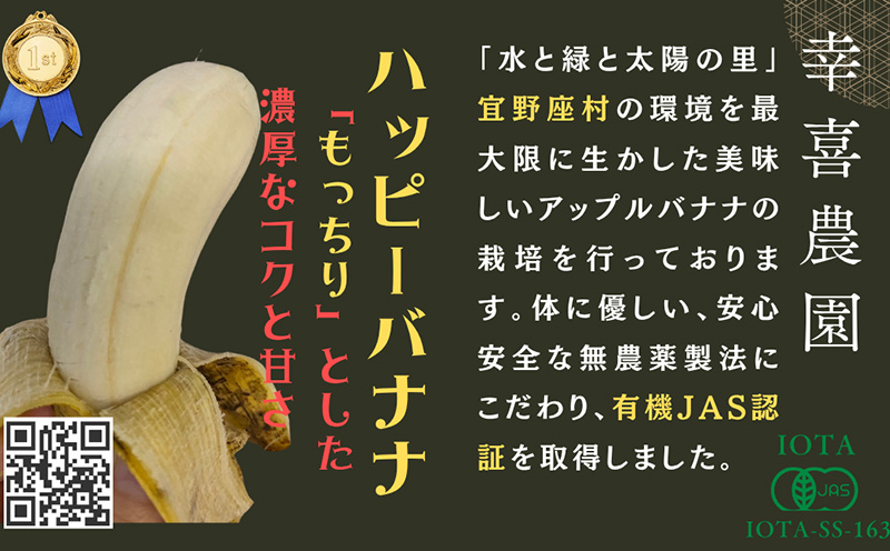 ã2026幎çºéãå®é座æç£ ææ©JASèªèšŒã®ã¢ããã«ããã çŽ2kg ã°ãªãª ããã ã¢ããã«ããã ãã«ãŒã æç© éæç© ãããã«ã«ãã«ãŒã ã¹ã€ãŒã ãã¶ãŒã ã¹ã ãŒãžãŒ æé£ éå ã¹ããŒã ç£å°çŽé åœç£ çã æ¿å ãã£ã¡ã æ²çžç å®é座æ