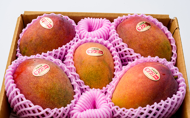 【2026年発送】サンライズファームのご自宅用マンゴー約2kg(4～6玉) アーウィン 果物 甘い 夏 濃厚 ギフト Mango ランキング 完熟 お気に入り 収穫 人気 甘味 フルーツ 沖縄県 国産 食品 デザート 産地直送 宜野座村