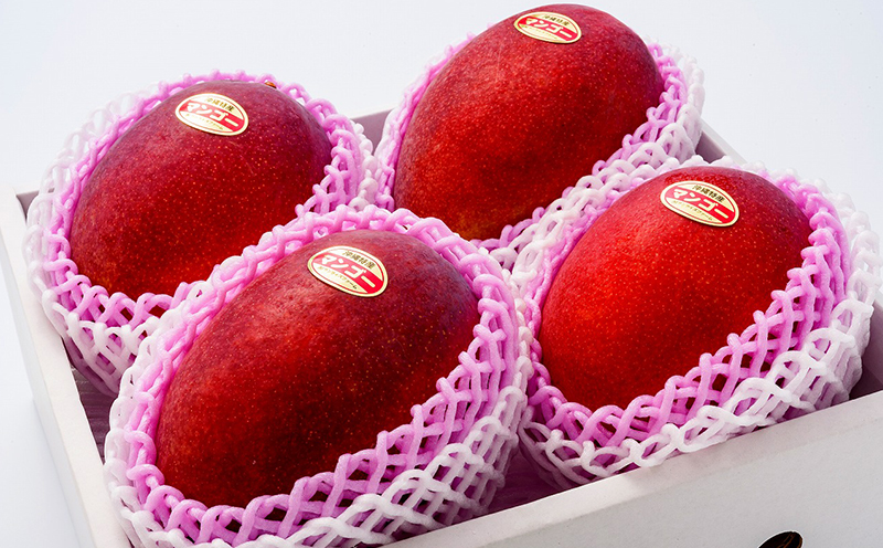 ã2026幎çºéã什å6幎æåªç§è³ãµã³ã©ã€ãºãã¡ãŒã ã®ãã³ãŽãŒå€§ç4ç2.4kg以äžãèŽççš ã¢ãŒãŠã£ã³ æç© çã å€ æ¿å ã®ãã Mango ã©ã³ãã³ã° å®ç ãæ°ã«å
¥ã åç©« äººæ° çå³ ãã«ãŒã æ²çžç åœç£ é£å ãã¶ãŒã ç£å°çŽé å®é座æ