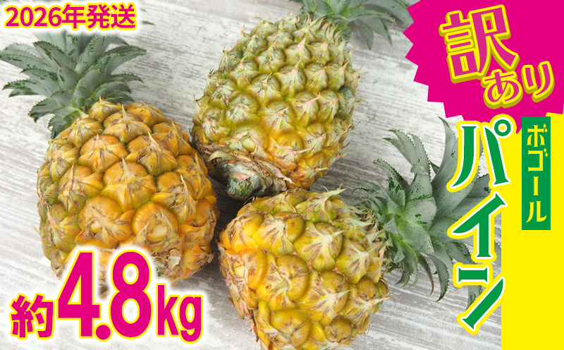 【2026年発送】訳ありパイン 4～8玉 約4.8kg（ボゴールパイン） パイン パイナップル ぱいなっぷる ボゴール 訳あり 訳アリ 不揃い 家庭用 国産パイン パインアップル スナック ちぎって食べる 夏限定 トロピカル ジューシー フレッシュ 南国 フルーツ 沖縄 宜野座村